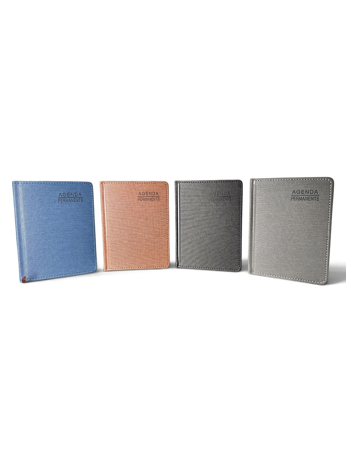 Agenda Diver Class Permanente 1/4 DC53